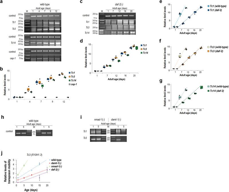 https://cdn.ncbi.nlm.nih.gov/pmc/blobs/4841/10465613/615ec9a0af23/41467_2023_40957_Fig6_HTML.jpg