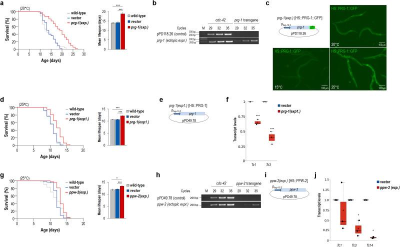 https://cdn.ncbi.nlm.nih.gov/pmc/blobs/4841/10465613/cc6f7e50b128/41467_2023_40957_Fig3_HTML.jpg
