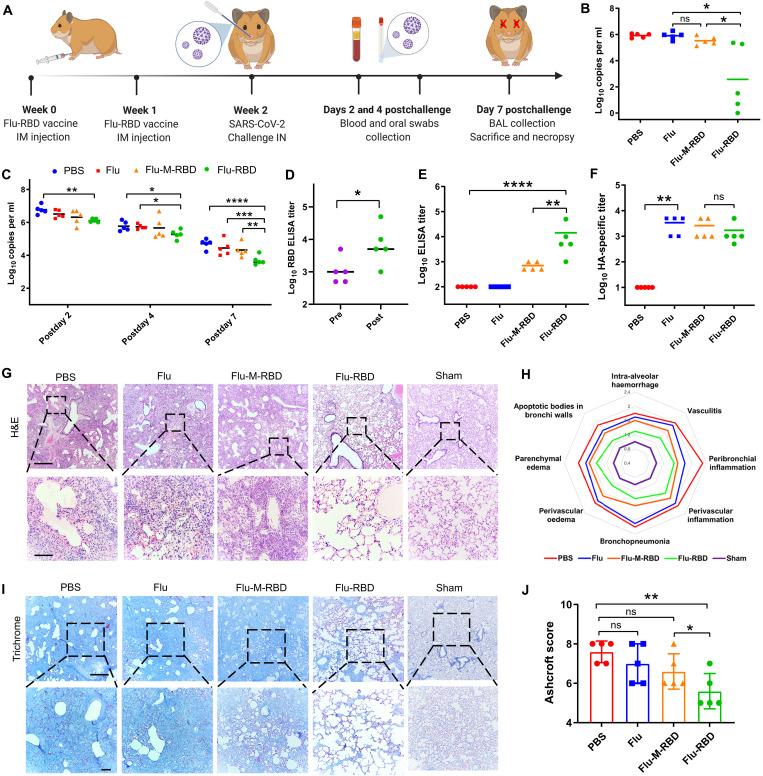 https://cdn.ncbi.nlm.nih.gov/pmc/blobs/4842/10289656/9d7d8bee6d34/sciadv.abo4100-f5.jpg