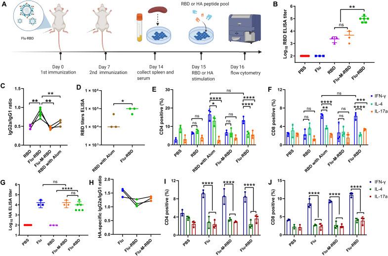 https://cdn.ncbi.nlm.nih.gov/pmc/blobs/4842/10289656/ca7fa725ed64/sciadv.abo4100-f3.jpg