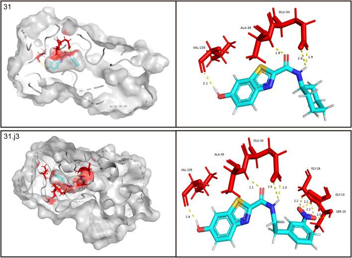 https://cdn.ncbi.nlm.nih.gov/pmc/blobs/4846/11841475/b48f6bde495d/fphar-16-1545791-g005.jpg