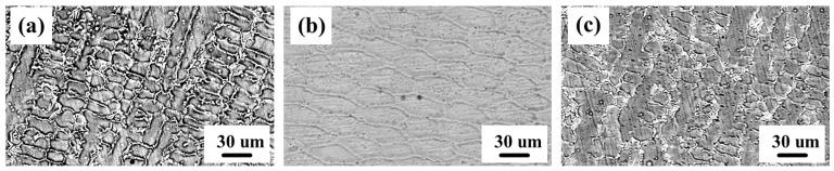 https://cdn.ncbi.nlm.nih.gov/pmc/blobs/4846/11990320/ea148b718cac/materials-18-01572-g005.jpg