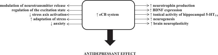 https://cdn.ncbi.nlm.nih.gov/pmc/blobs/4847/4243035/10749a4ac5fc/CN-12-462_F2.jpg