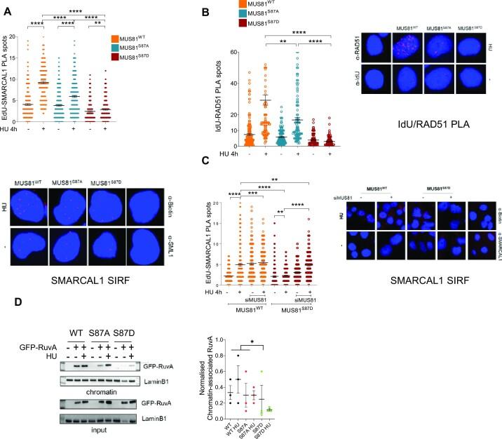 https://cdn.ncbi.nlm.nih.gov/pmc/blobs/4848/10359636/5bc7ead36e6a/gkad470fig5.jpg