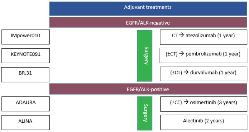 https://cdn.ncbi.nlm.nih.gov/pmc/blobs/484b/11853691/9a676d586389/cancers-17-00652-g001.jpg