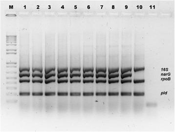 https://cdn.ncbi.nlm.nih.gov/pmc/blobs/484b/5613524/10a8ed19c61d/12917_2017_1210_Fig1_HTML.jpg