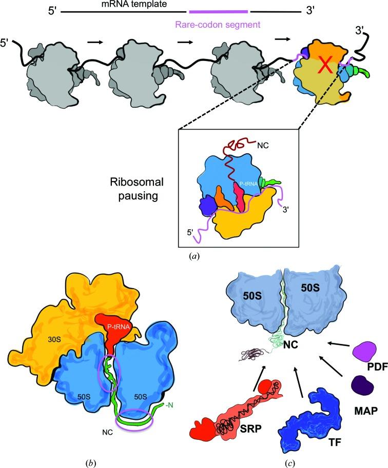 https://cdn.ncbi.nlm.nih.gov/pmc/blobs/484c/5458493/866a85971e7e/d-73-00509-fig4.jpg