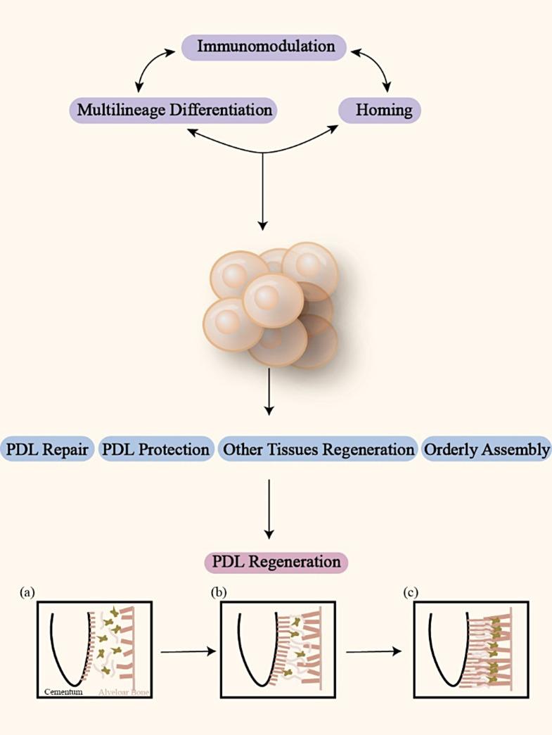 https://cdn.ncbi.nlm.nih.gov/pmc/blobs/484d/11526537/be8e2f2ba3f5/13287_2024_4003_Fig2_HTML.jpg