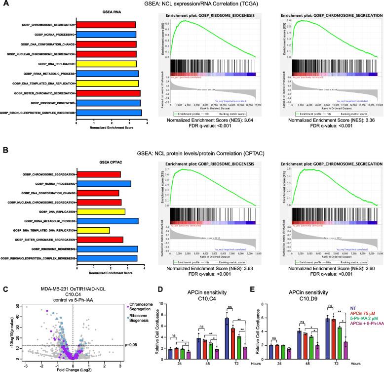 https://cdn.ncbi.nlm.nih.gov/pmc/blobs/484d/12257848/4531ea679b46/13046_2025_3401_Fig5_HTML.jpg