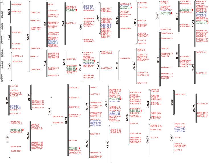 https://cdn.ncbi.nlm.nih.gov/pmc/blobs/4852/8051338/b71509dd8d4f/peerj-09-11076-g004.jpg