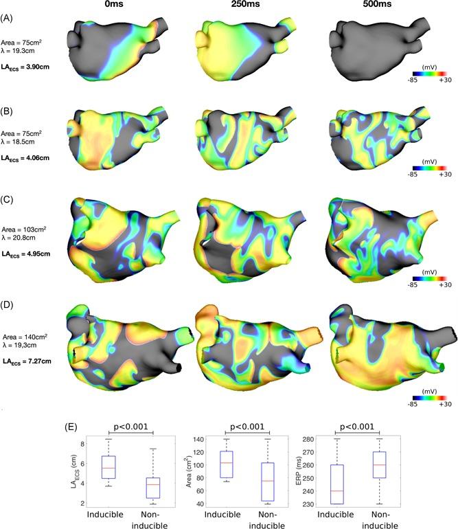 https://cdn.ncbi.nlm.nih.gov/pmc/blobs/4853/6772134/e4faa17285e1/JCE-30-1416-g007.jpg