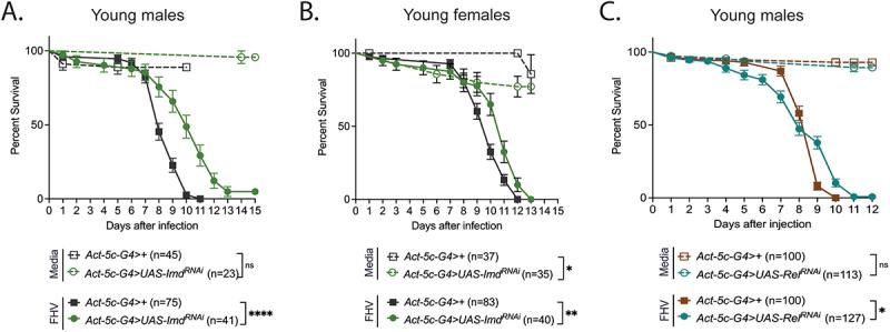 https://cdn.ncbi.nlm.nih.gov/pmc/blobs/4854/12380228/afb430125ddf/KVIR_A_2549497_F0006_OC.jpg