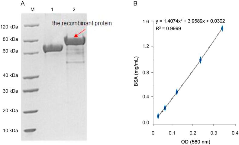 https://cdn.ncbi.nlm.nih.gov/pmc/blobs/4856/5790689/e6d9688a01f5/gr3.jpg