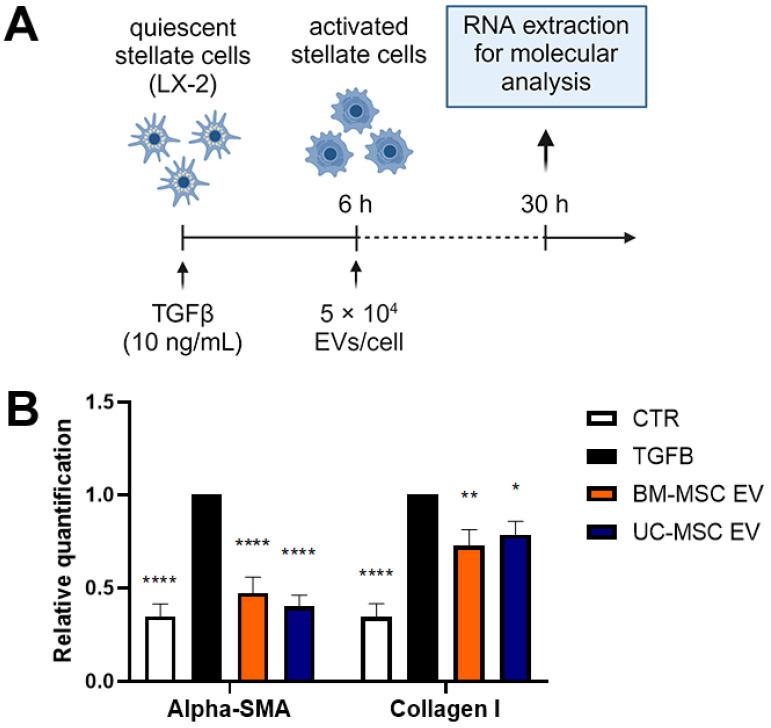 https://cdn.ncbi.nlm.nih.gov/pmc/blobs/485a/11351945/6846e3903083/biomedicines-12-01849-g005.jpg