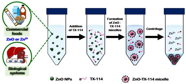 https://cdn.ncbi.nlm.nih.gov/pmc/blobs/485a/9181433/201e40c56bee/ijms-23-06074-g002.jpg