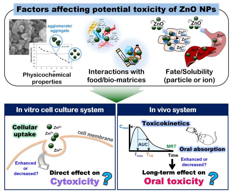 https://cdn.ncbi.nlm.nih.gov/pmc/blobs/485a/9181433/24ce5d27dfef/ijms-23-06074-g004.jpg