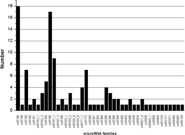 https://cdn.ncbi.nlm.nih.gov/pmc/blobs/485c/3462689/1162ff912449/1471-2229-12-146-2.jpg