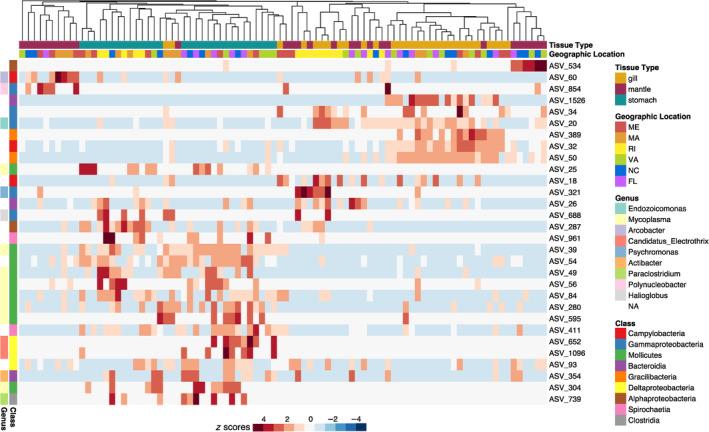 https://cdn.ncbi.nlm.nih.gov/pmc/blobs/485e/11500617/4895ac1a2fe5/EMI4-16-e70026-g006.jpg