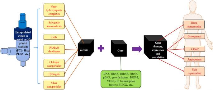 https://cdn.ncbi.nlm.nih.gov/pmc/blobs/4860/7811392/72b3d03296f9/12015_2021_10120_Fig4_HTML.jpg