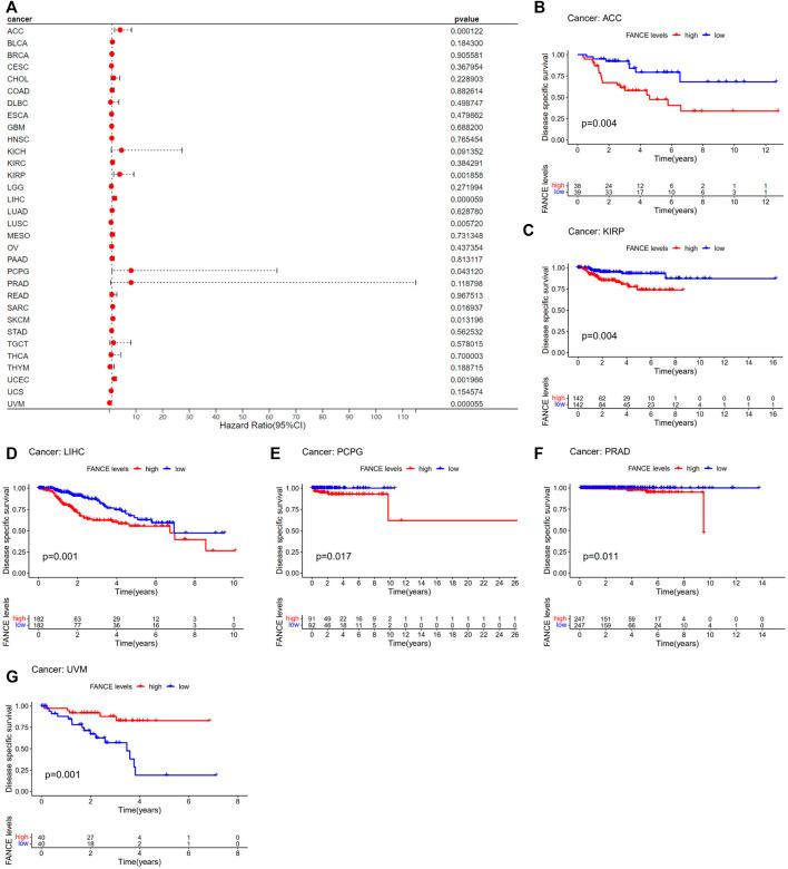 https://cdn.ncbi.nlm.nih.gov/pmc/blobs/4860/9846156/fa0d5167ff9a/fgene-13-1024989-g005.jpg