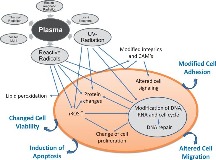 https://cdn.ncbi.nlm.nih.gov/pmc/blobs/4861/4256026/07e42b1ba246/bt-22-477f6.jpg