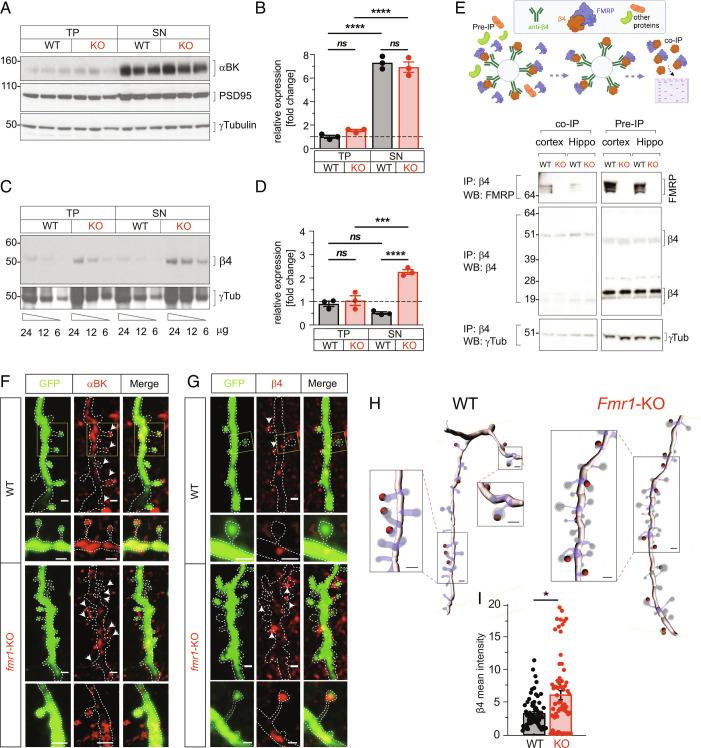 https://cdn.ncbi.nlm.nih.gov/pmc/blobs/4862/9926222/3f69121d56ff/pnas.2208963120fig02.jpg