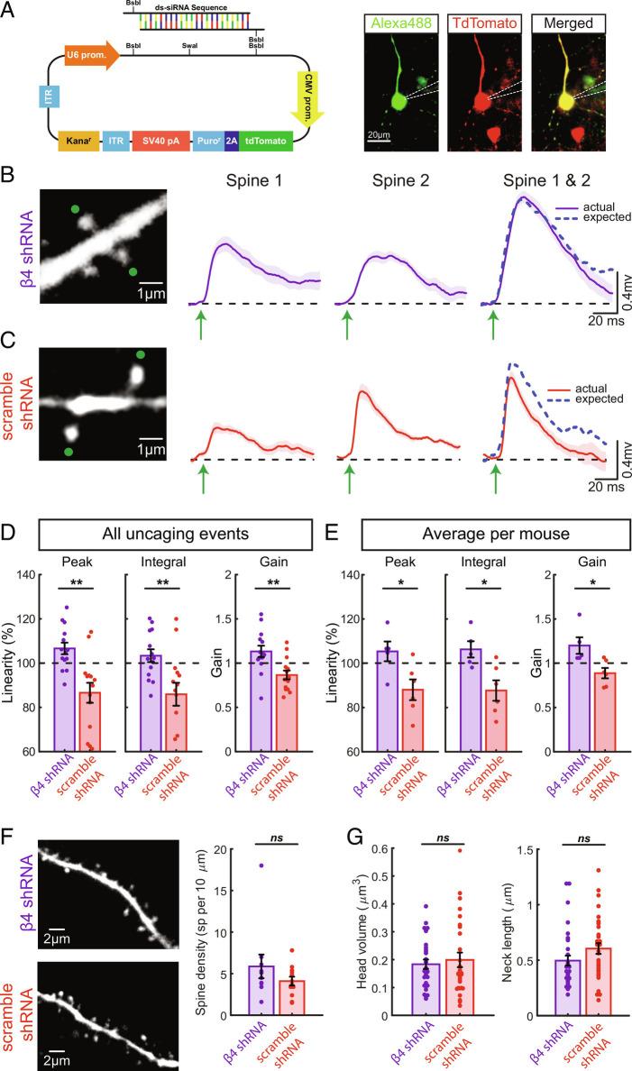 https://cdn.ncbi.nlm.nih.gov/pmc/blobs/4862/9926222/85b0126e6e32/pnas.2208963120fig03.jpg