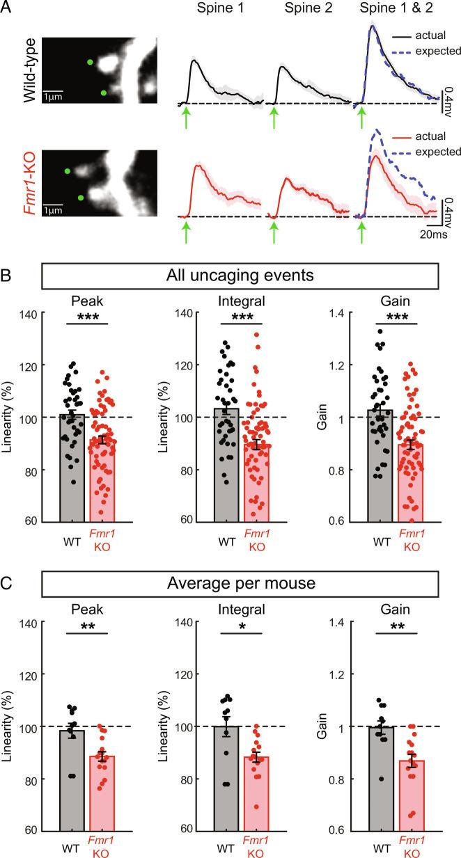 https://cdn.ncbi.nlm.nih.gov/pmc/blobs/4862/9926222/cb639da936b9/pnas.2208963120fig01.jpg
