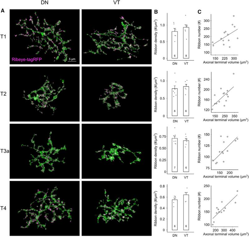 https://cdn.ncbi.nlm.nih.gov/pmc/blobs/4863/6317877/d1e552208102/nihms-1515793-f0005.jpg