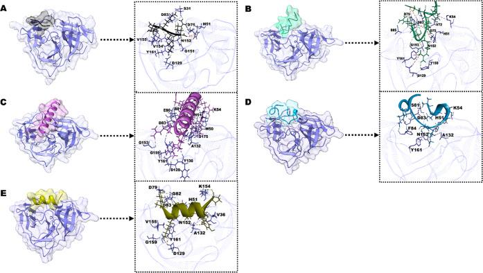 https://cdn.ncbi.nlm.nih.gov/pmc/blobs/4864/10536883/ebe8e4700898/ao3c04903_0005.jpg