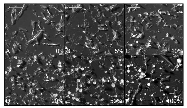 https://cdn.ncbi.nlm.nih.gov/pmc/blobs/4864/2890595/2b4ce089a118/1471-213X-10-59-4.jpg