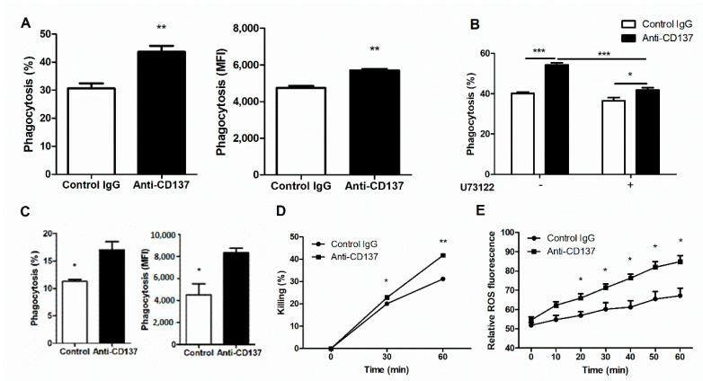 https://cdn.ncbi.nlm.nih.gov/pmc/blobs/4866/8156510/402d03c9924f/jof-07-00382-g004.jpg