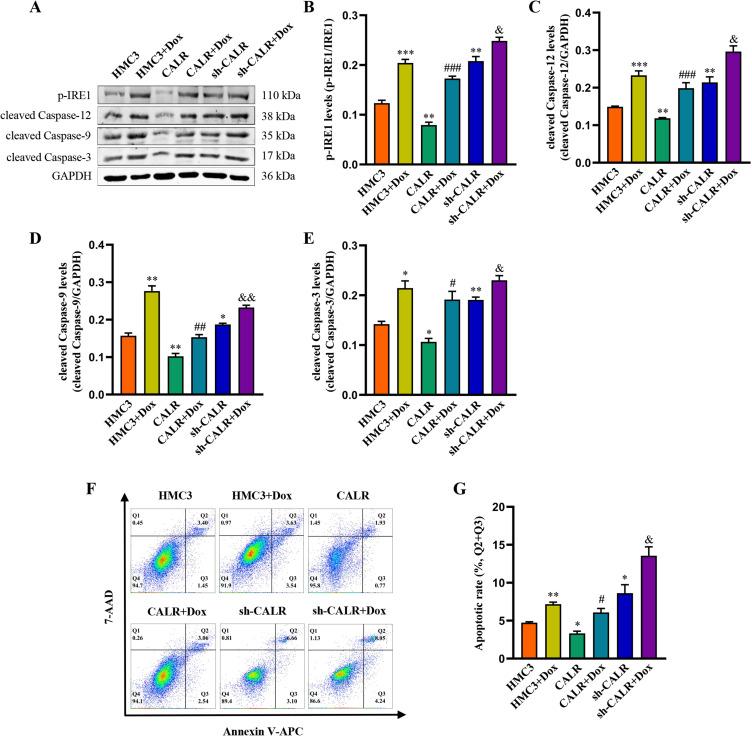 https://cdn.ncbi.nlm.nih.gov/pmc/blobs/4867/12034290/89af5c5990d2/IDR-18-2005-g0004.jpg