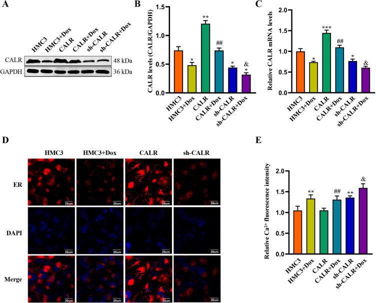 https://cdn.ncbi.nlm.nih.gov/pmc/blobs/4867/12034290/ab9025dd4cd6/IDR-18-2005-g0003.jpg