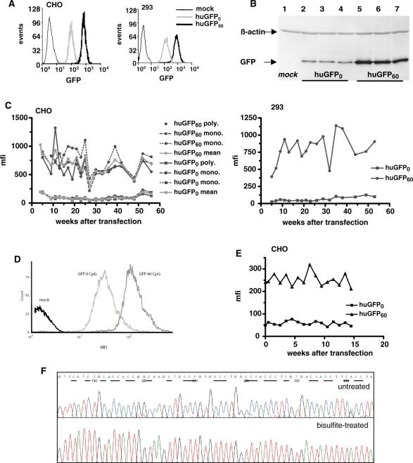 https://cdn.ncbi.nlm.nih.gov/pmc/blobs/4868/2896515/607cc35db6ef/gkq115f4.jpg