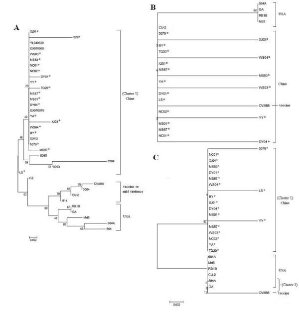 https://cdn.ncbi.nlm.nih.gov/pmc/blobs/4868/3068976/afc47e992873/1743-422X-8-121-3.jpg