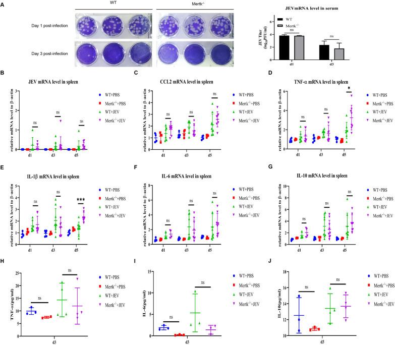 https://cdn.ncbi.nlm.nih.gov/pmc/blobs/4869/11401310/e903948ecaaa/12985_2024_2472_Fig2_HTML.jpg