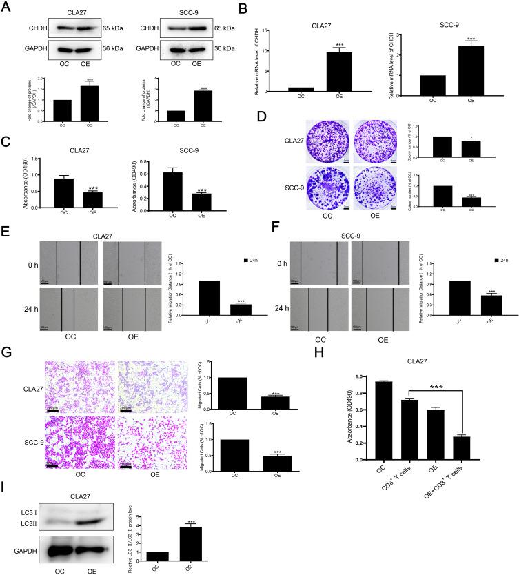 https://cdn.ncbi.nlm.nih.gov/pmc/blobs/4869/12124313/7261cae5e1a0/JIR-18-6831-g0009.jpg