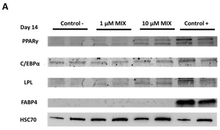 https://cdn.ncbi.nlm.nih.gov/pmc/blobs/486d/9229358/10396fb6d806/toxics-10-00287-g004a.jpg