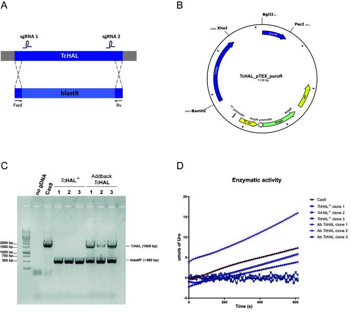 https://cdn.ncbi.nlm.nih.gov/pmc/blobs/486f/12203737/45f1d5c04da3/mic-12-157-g003.jpg