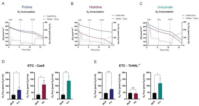 https://cdn.ncbi.nlm.nih.gov/pmc/blobs/486f/12203737/fe4130e9166f/mic-12-157-g005.jpg