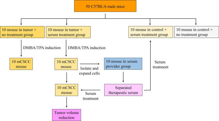 https://cdn.ncbi.nlm.nih.gov/pmc/blobs/4871/11479585/78c7aebb5783/elife-95678-fig1.jpg