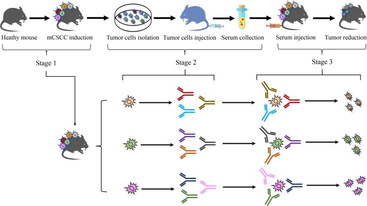 https://cdn.ncbi.nlm.nih.gov/pmc/blobs/4871/11479585/e2d769cc2167/elife-95678-fig4.jpg