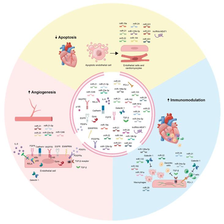 https://cdn.ncbi.nlm.nih.gov/pmc/blobs/4871/7277090/f3d9509ad2c6/biomolecules-10-00707-g002.jpg