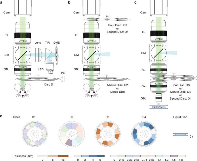 https://cdn.ncbi.nlm.nih.gov/pmc/blobs/4872/11250366/95c4c67b56a0/41551_2023_1155_Fig5_ESM.jpg