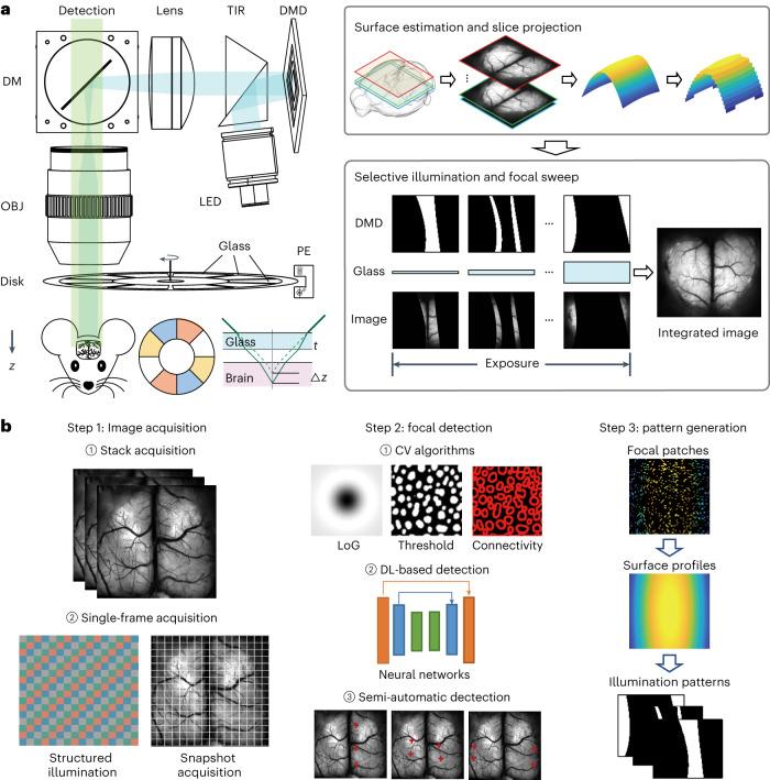 https://cdn.ncbi.nlm.nih.gov/pmc/blobs/4872/11250366/c4566d86f717/41551_2023_1155_Fig1_HTML.jpg