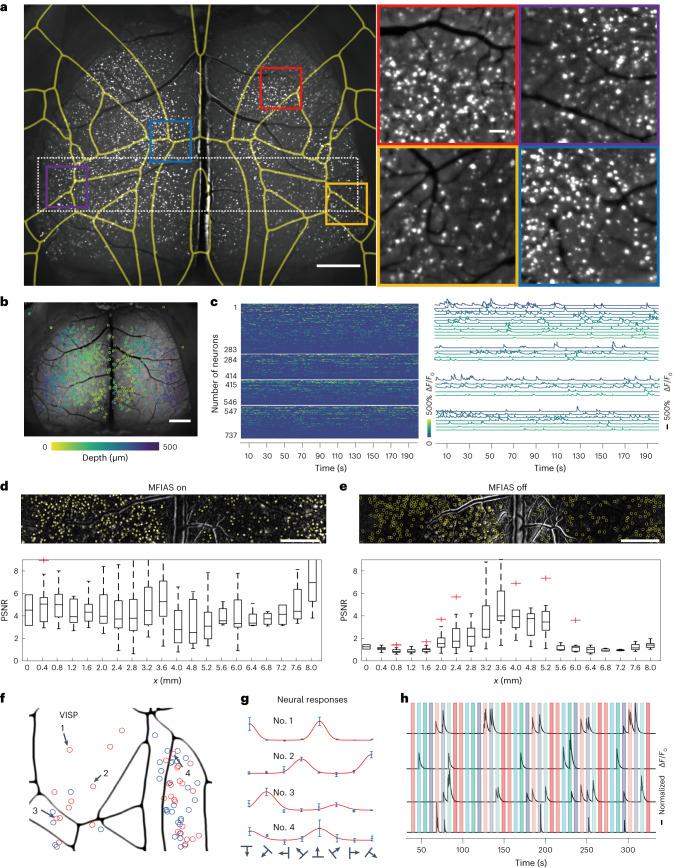https://cdn.ncbi.nlm.nih.gov/pmc/blobs/4872/11250366/dbe8cb082079/41551_2023_1155_Fig3_HTML.jpg