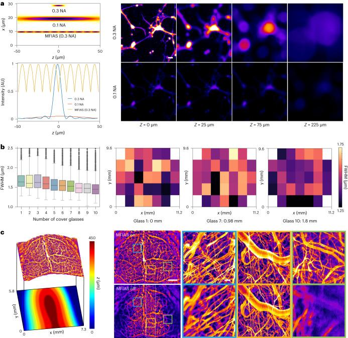 https://cdn.ncbi.nlm.nih.gov/pmc/blobs/4872/11250366/ead0b4a4f8ca/41551_2023_1155_Fig2_HTML.jpg