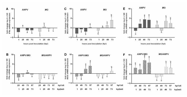 https://cdn.ncbi.nlm.nih.gov/pmc/blobs/4873/8618481/04f0900e2836/microorganisms-09-02407-g006.jpg