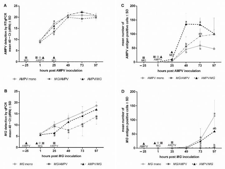 https://cdn.ncbi.nlm.nih.gov/pmc/blobs/4873/8618481/4dcc66c6e73b/microorganisms-09-02407-g001.jpg